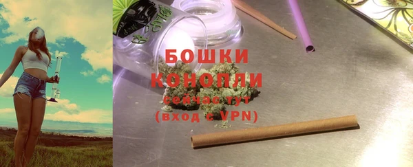 индика Медногорск