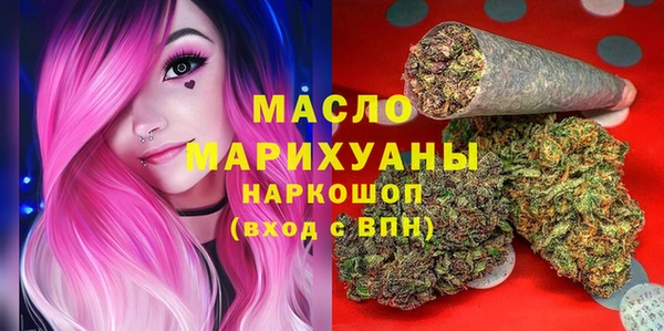 индика Медногорск
