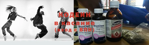 индика Медногорск