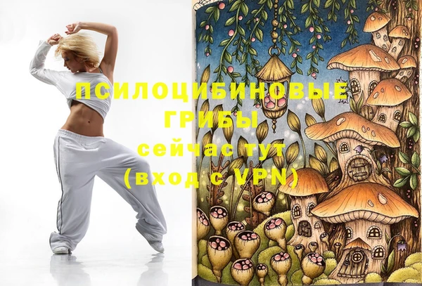герыч Медвежьегорск