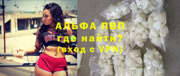 индика Медногорск